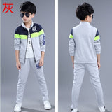 Autumn Baby Tracksuit Coats + Pants