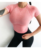 Women Workout Seamless Shirts