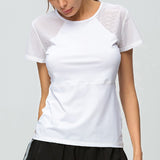 Fitness Workout Shirts